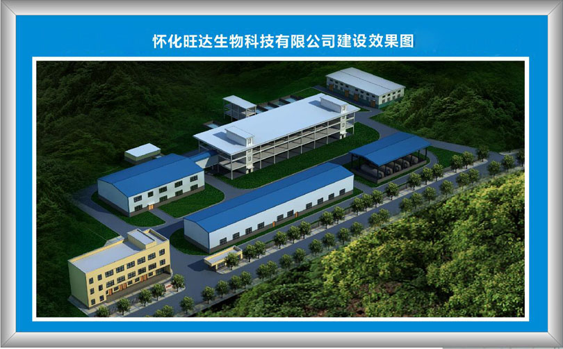 XK在线平台_XK（中国）